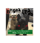 あ太郎くんと小太郎くんの日常（個別スタンプ：14）