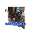 あ太郎くんと小太郎くんの日常（個別スタンプ：20）
