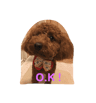 りんスタ2（個別スタンプ：1）
