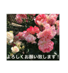 良く使う言葉を、中心に集めました。（個別スタンプ：8）