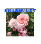 良く使う言葉を、中心に集めました。（個別スタンプ：10）