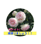 良く使う言葉を、中心に集めました。（個別スタンプ：25）