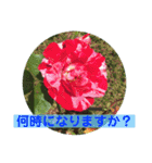 良く使う言葉を、中心に集めました。（個別スタンプ：33）