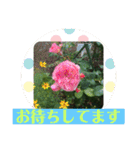 良く使う言葉を、中心に集めました。（個別スタンプ：35）