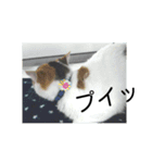 ソラ その2（個別スタンプ：2）