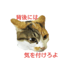 ソラ その2（個別スタンプ：3）