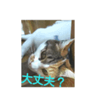 ソラ その2（個別スタンプ：6）