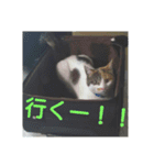 ソラ その2（個別スタンプ：10）