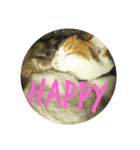 ソラ その2（個別スタンプ：11）