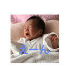 こすず 1（個別スタンプ：3）