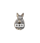 デグー と愉快な仲間たち（個別スタンプ：1）