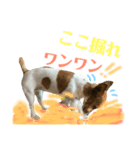 笑っちゃうジャックラッセル♡（個別スタンプ：15）