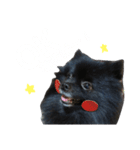 こたちゃんワンワンスタンプ（個別スタンプ：1）
