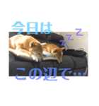 みちゅとちょこまちゃ（個別スタンプ：8）