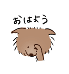 ぶぶのすたんぷ。（個別スタンプ：1）