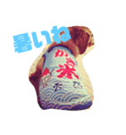 ここちゃんリターンズ（個別スタンプ：1）
