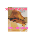ここちゃんリターンズ（個別スタンプ：3）