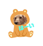 ここちゃんリターンズ（個別スタンプ：6）
