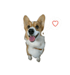 てけてけこーぎー（個別スタンプ：1）