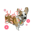 てけてけこーぎー（個別スタンプ：3）