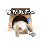 パパパパーン（個別スタンプ：8）