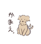 うちのウェルシュテリアのウィリアム（個別スタンプ：12）