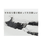太郎の毎日（個別スタンプ：13）