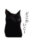ねこちゃんたちの日常。。（個別スタンプ：13）