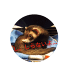 ニートのフェレット 2（個別スタンプ：6）
