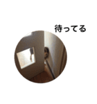ちわわのちくちゃん（個別スタンプ：28）