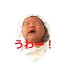 日和すたんぷ（個別スタンプ：3）