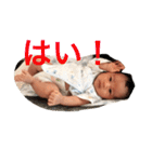 日和すたんぷ（個別スタンプ：16）