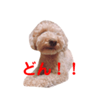 クレアすたんぷ（個別スタンプ：3）