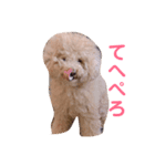 クレアすたんぷ（個別スタンプ：4）