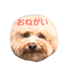 クレアすたんぷ（個別スタンプ：8）