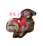 がんもと愉快な仲間たち（個別スタンプ：4）