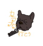 フレブルのブルな日常（個別スタンプ：19）