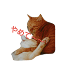 僕、伯太郎（個別スタンプ：5）