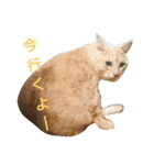 僕、伯太郎（個別スタンプ：14）