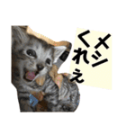 ちるちるとらむねくん（個別スタンプ：4）