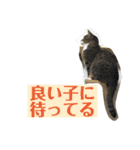 ちるちるとらむねくん（個別スタンプ：9）