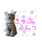 ちるちるとらむねくん（個別スタンプ：14）