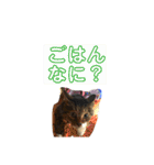 ちるちるとらむねくん（個別スタンプ：21）