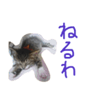 ちるちるとらむねくん（個別スタンプ：23）