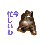 ちるちるとらむねくん（個別スタンプ：24）