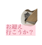 ちるちるとらむねくん（個別スタンプ：25）