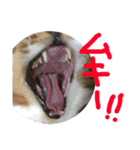 ちるちるとらむねくん（個別スタンプ：29）