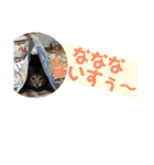 ちるちるとらむねくん（個別スタンプ：32）