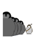 コウクウペンギン（個別スタンプ：2）