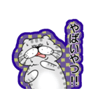 猫のステッカースタンプ（個別スタンプ：13）